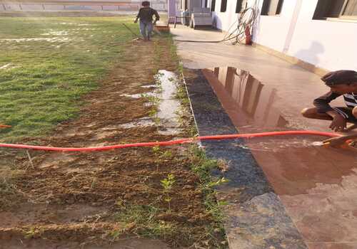 Terrace Garden Services Provider in Noida